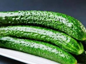 青翠之譜 常見(jiàn)蔬菜與苗木名錄